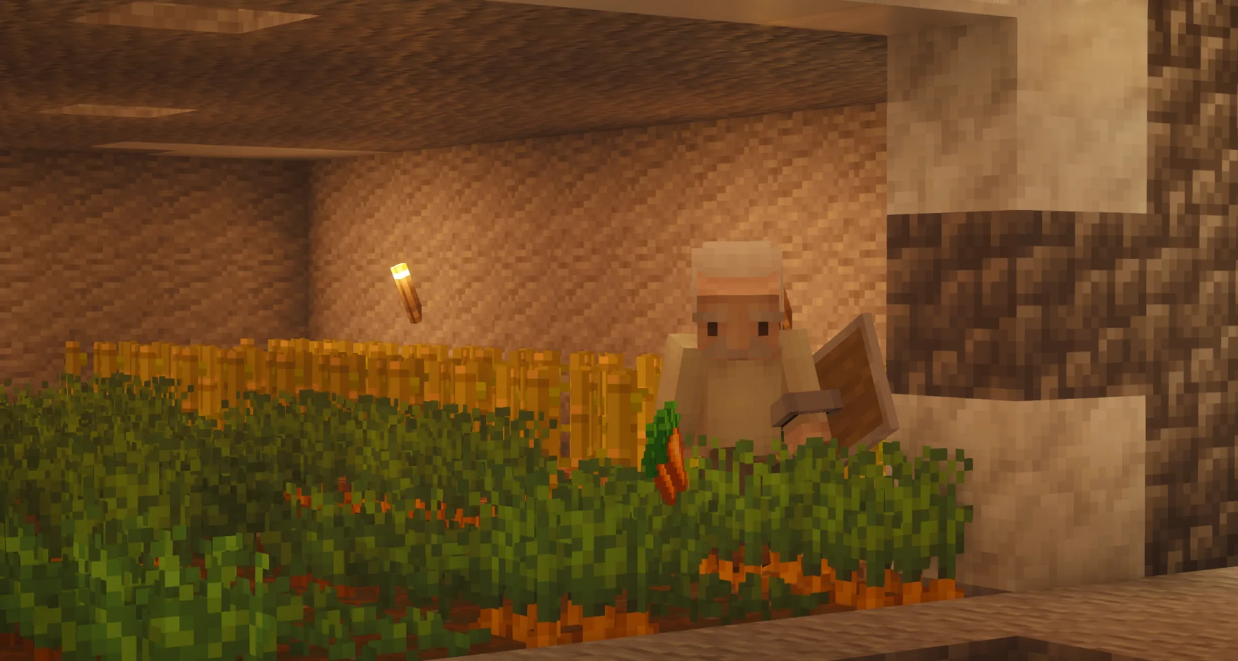 Karottenfarm