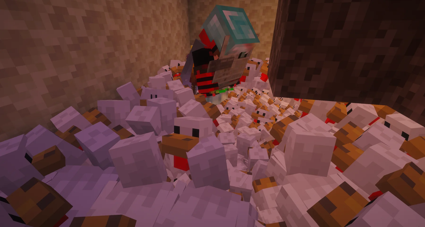 Chicken Incident